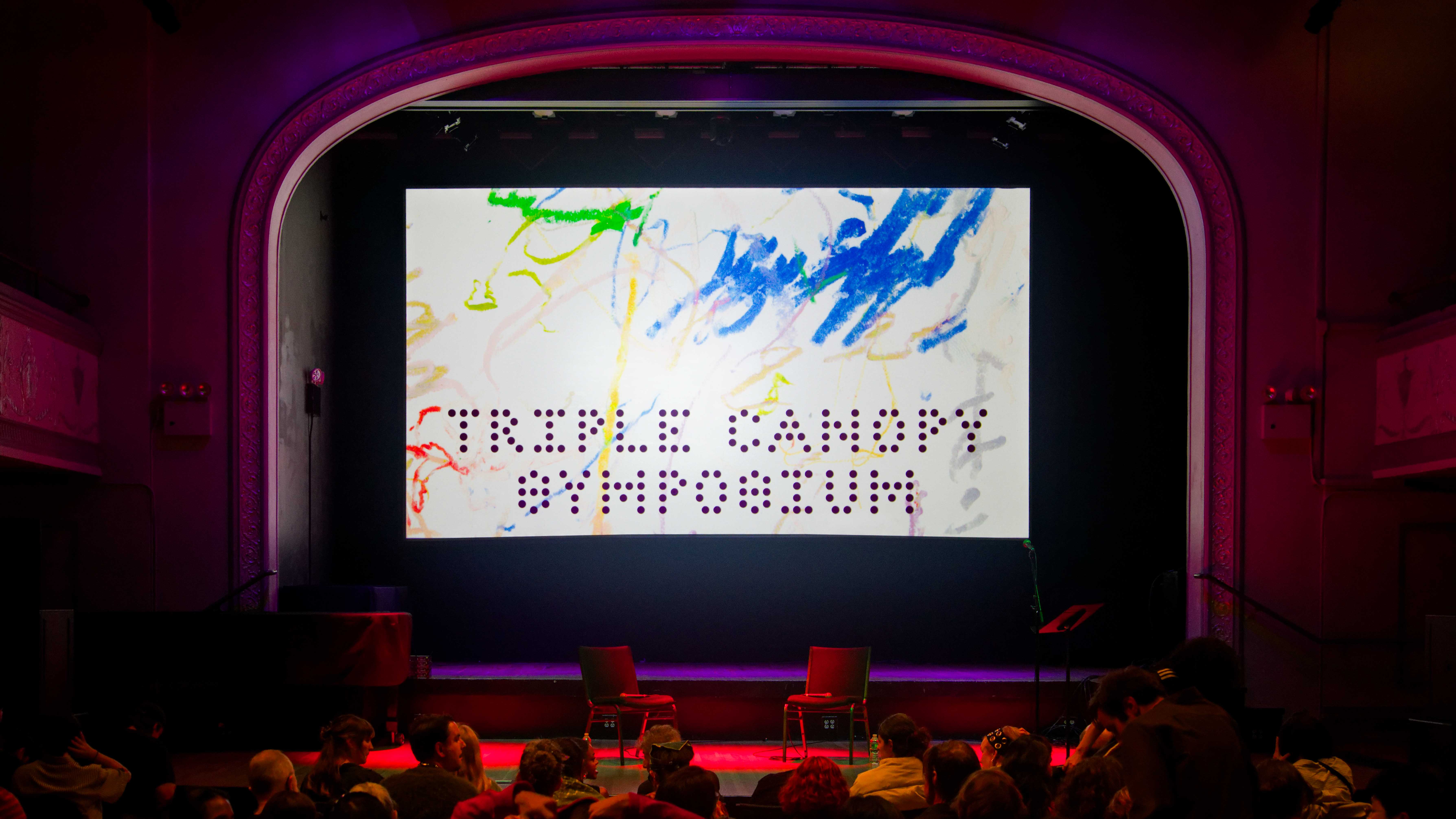 Triple Canopy Symposium Event Stage